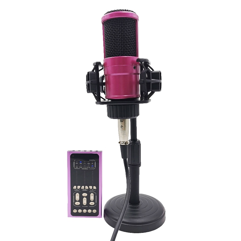 FB-LSC500 Super slanke multifunctionele stemwisselaar live geluidskaart en microfoonset
