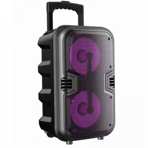 FB-PS6602C Bluetooth Party Speaker met LED-verlichting